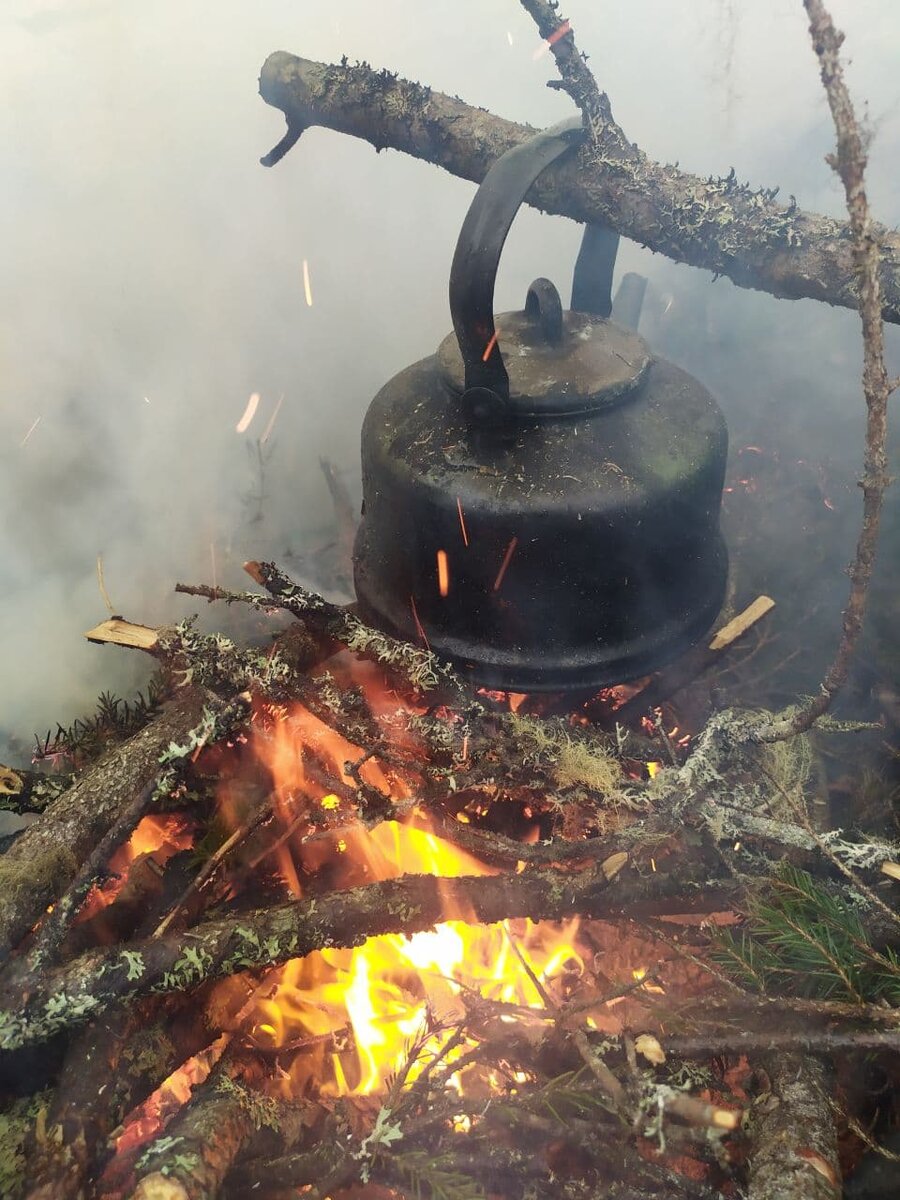 Ходили с семьей в лес на этих выходных)Пить чай на природе я обожаю)