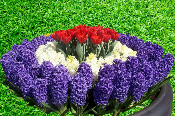 фото яндекс  картинки