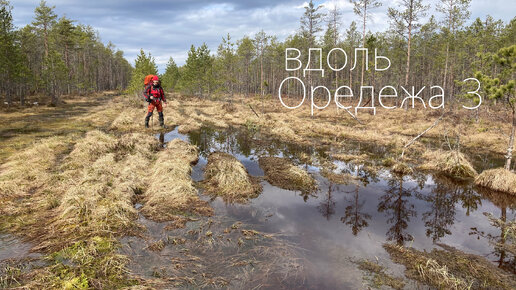 Из леса в болото. Апрельский поход вдоль реки Оредеж. Заключительный день. Без слов