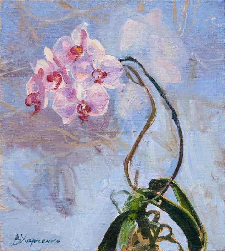 9.   (1978).    kharchenko-gallery.ru