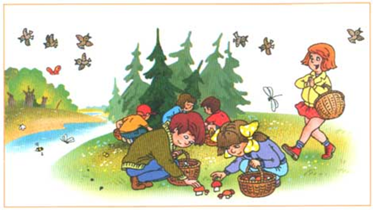 Сюжетные картинки для дошкольников. Сюжетные картины про грибы. Сюжетная картинка в лесу. Сюжетная картина в лесу.