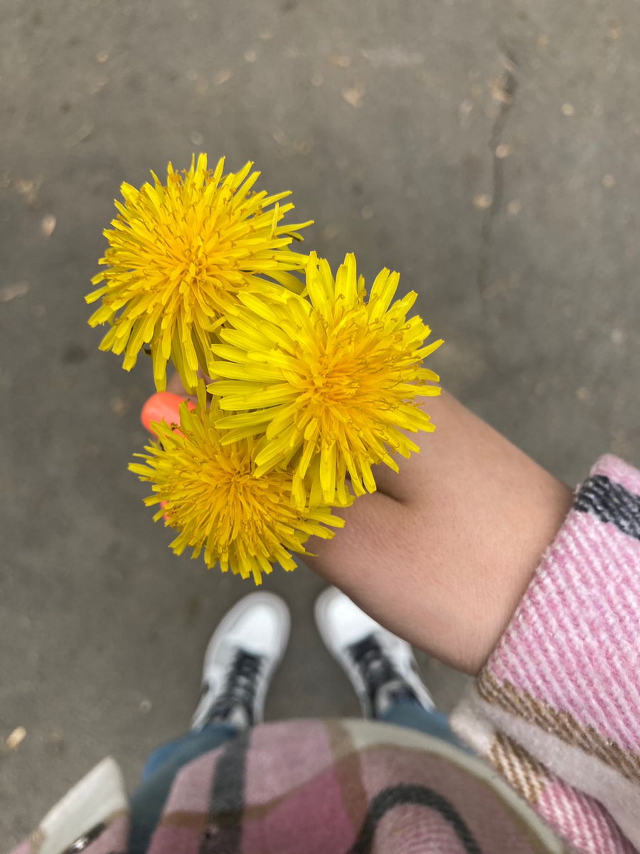 Мне дочка прислала, спросила помню ли я как плела ей веночки. Конечно помню, чай не совсем древняя, не шешнадцать конечно, так,  два раза по двадцать и ещё хвостик небольшой))))
