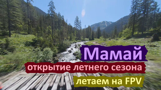 Мамай Июнь