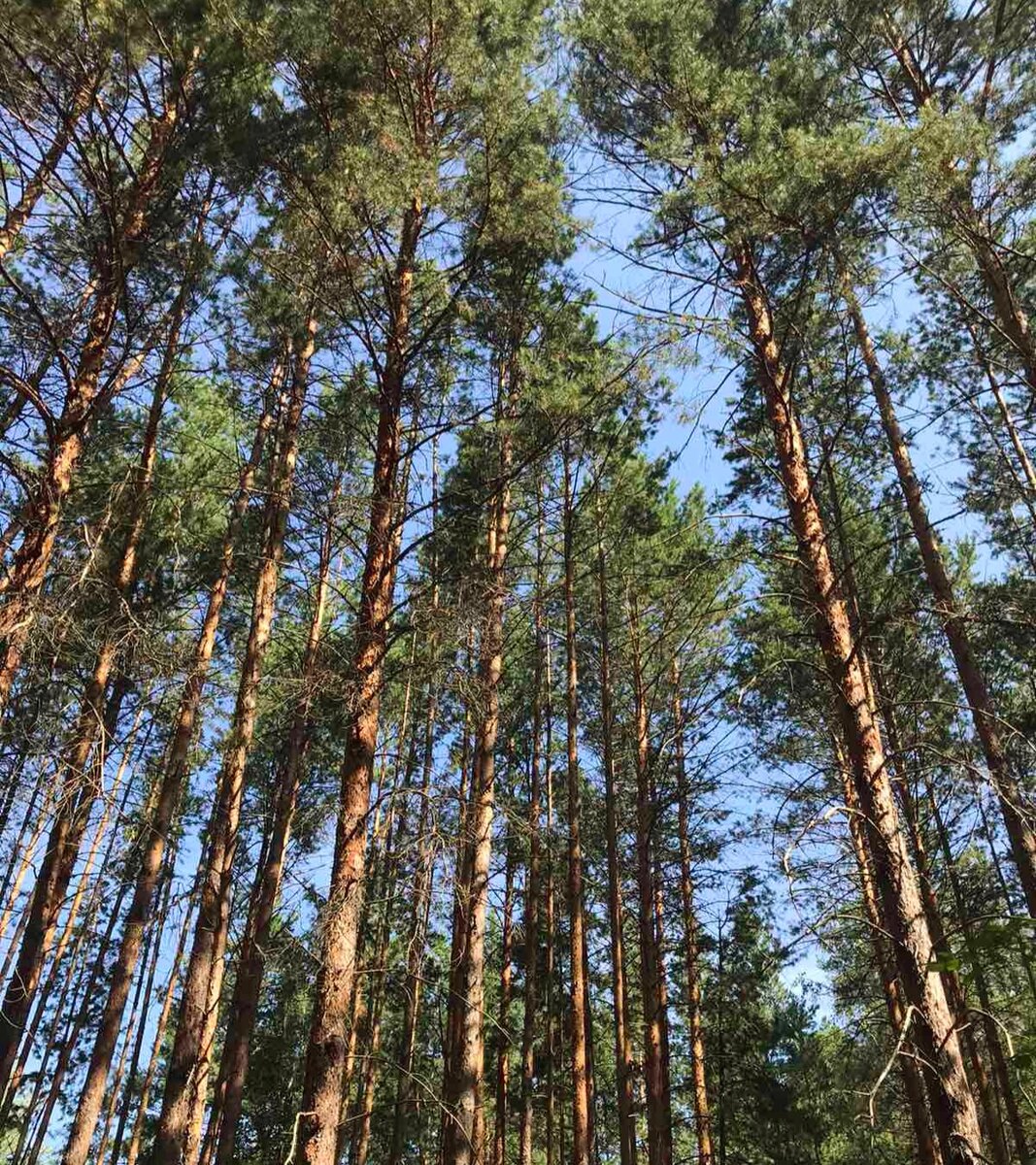 Юля это видит! И слава Богу!