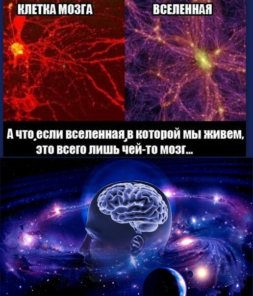 Картинка в свободном доступе из интернета (при обращении, автор будет указан)