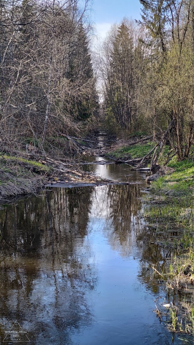 Река Колпанская
