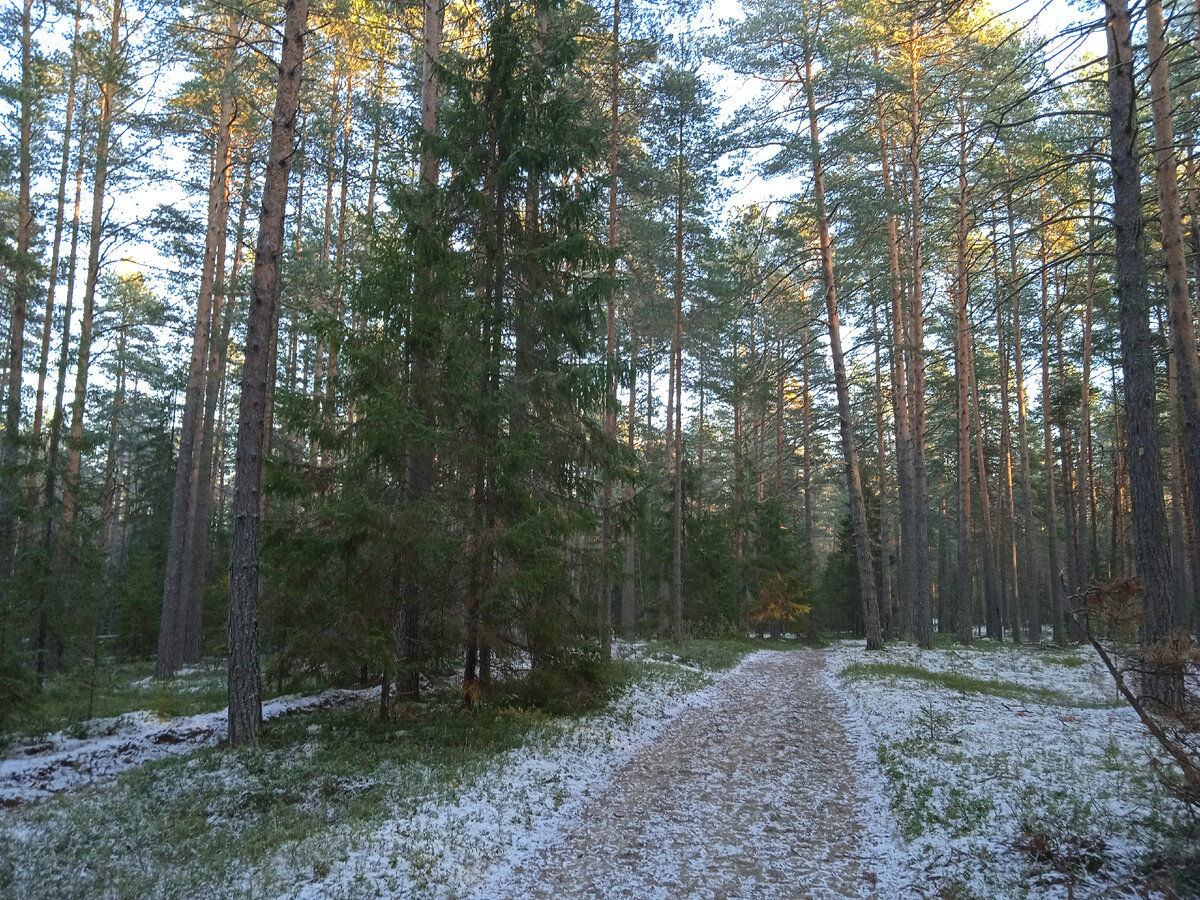 Фото автора, 20 ноября 2022г.