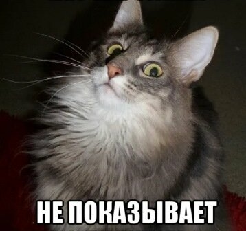 Котик из открытых источников.
