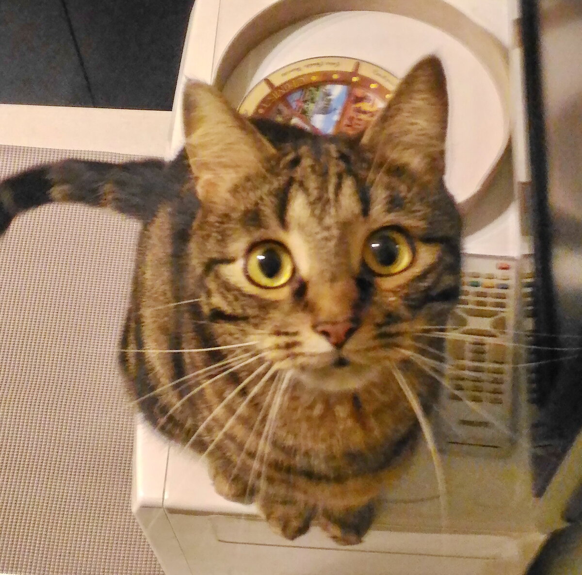 Глаза в глаза...)