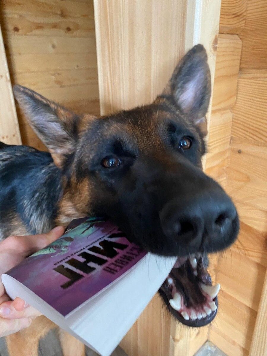 Есть много книг, которые можно не читать, и ты ничего не потеряешь.