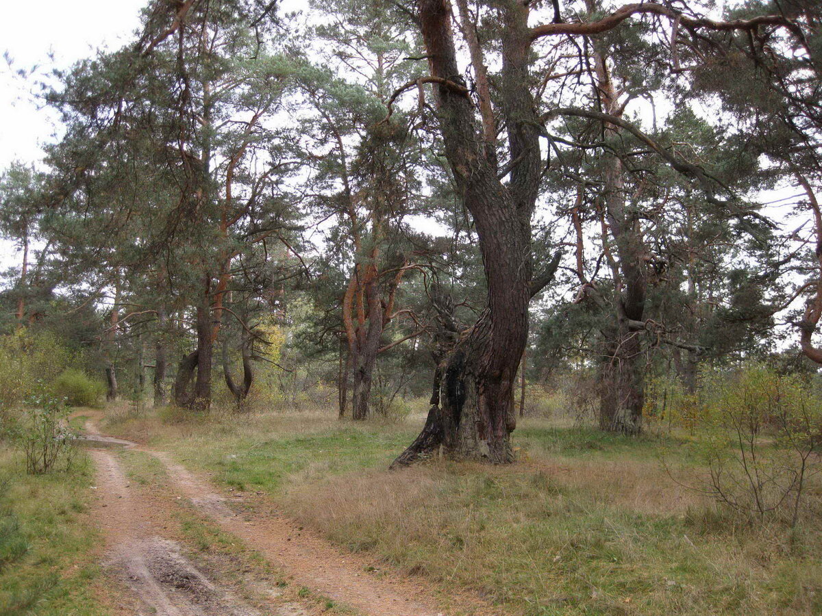 Из личного архива. Недалеко от места о котором идет речь.