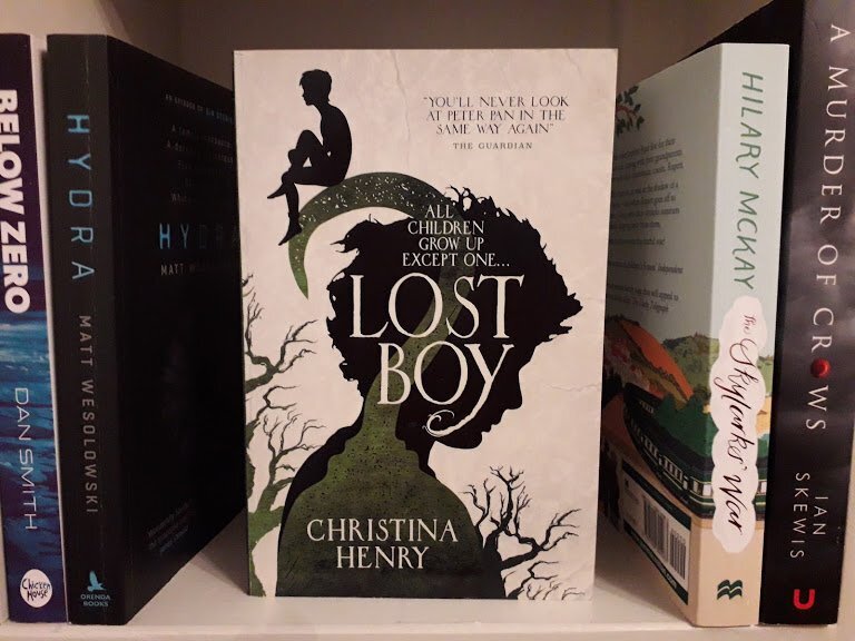 Потерянная книга нашлась. Lost boy Christina Henry. Потерянный мальчик книга. Обложка книги the boy. Lost книга.