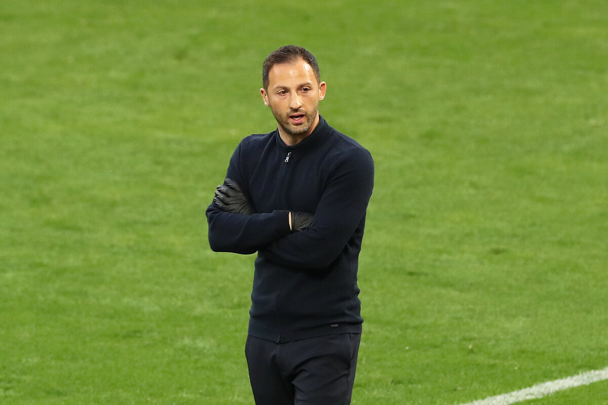 Доменико Тедеско. Фото:  Олег Бухарев / Матч ТВ