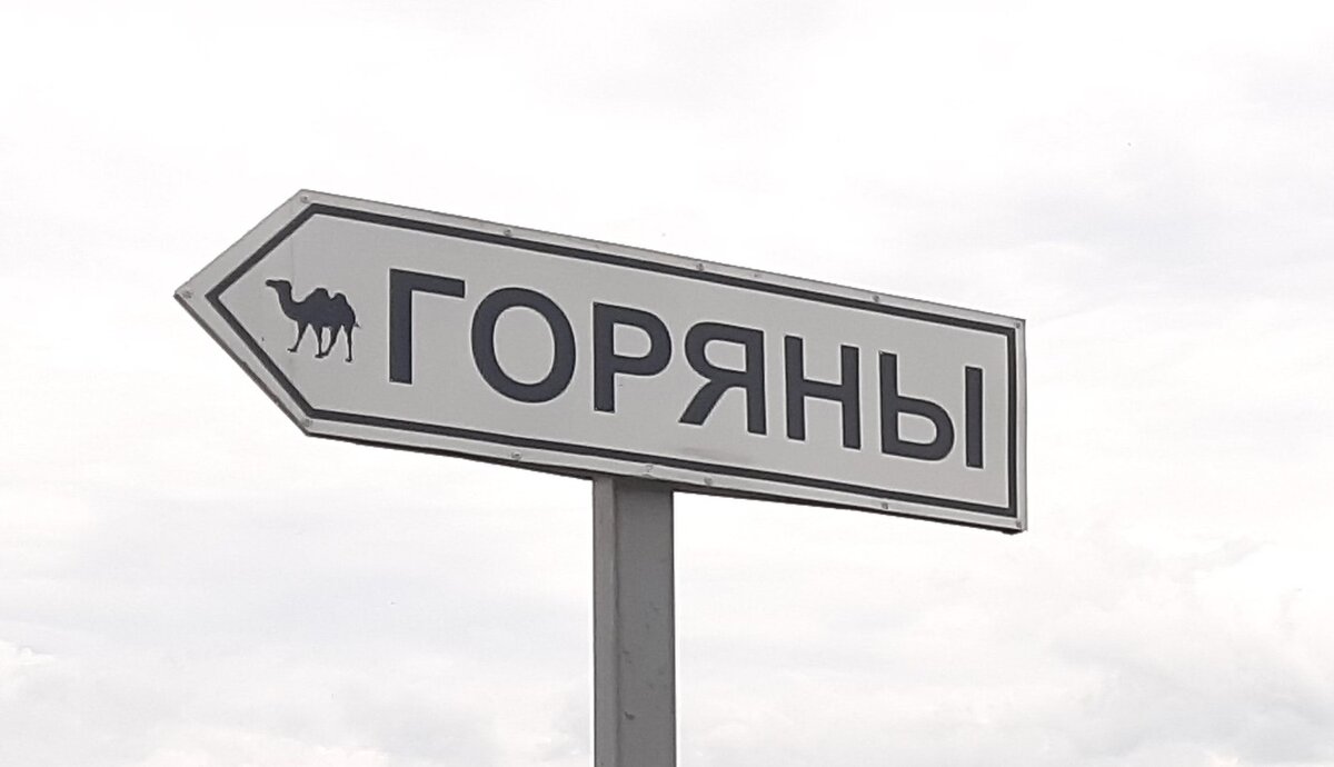  «Горяны» с рисунком двугорбого верблюда