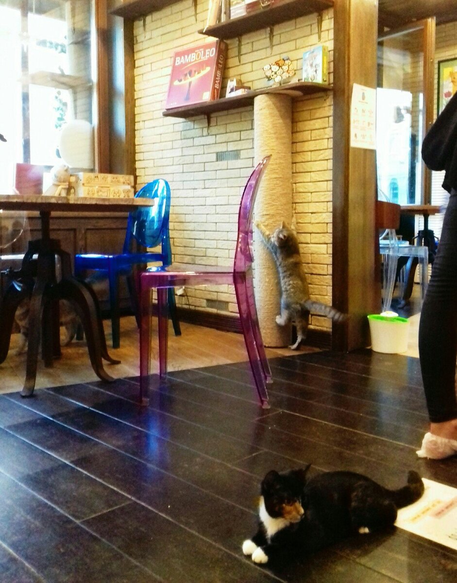 Личное фото