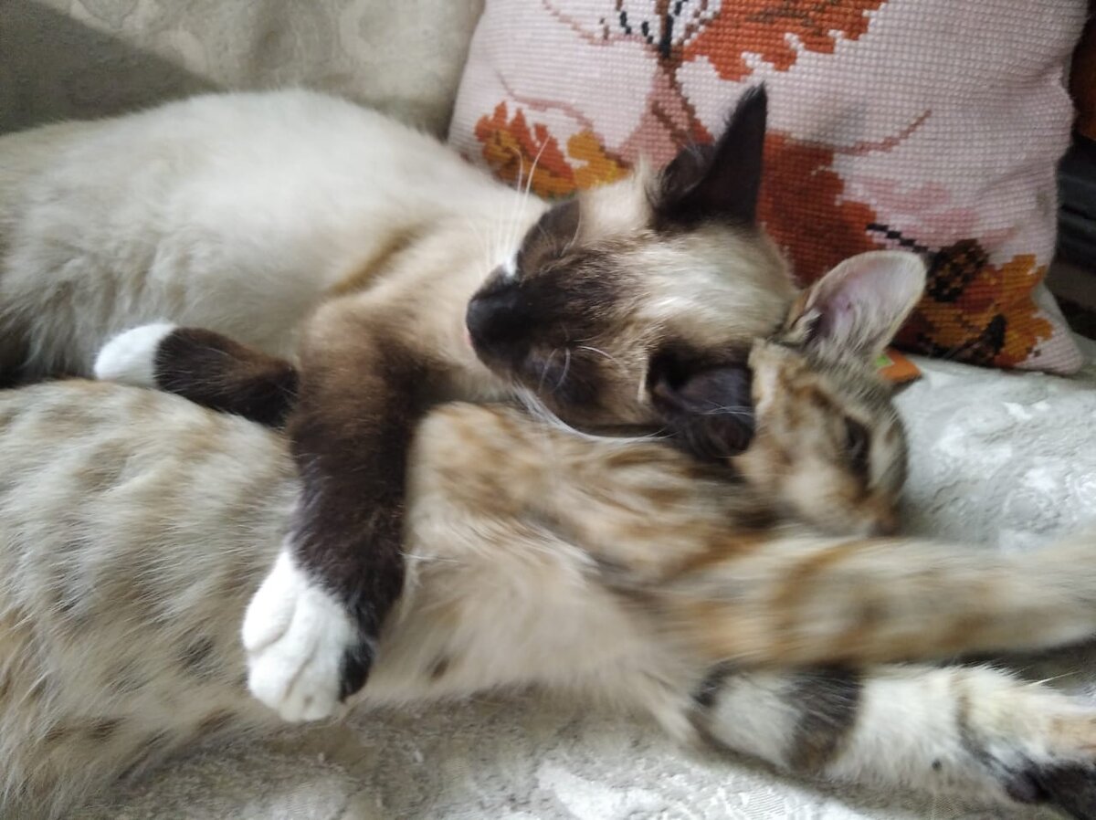 колыбельная для дочки