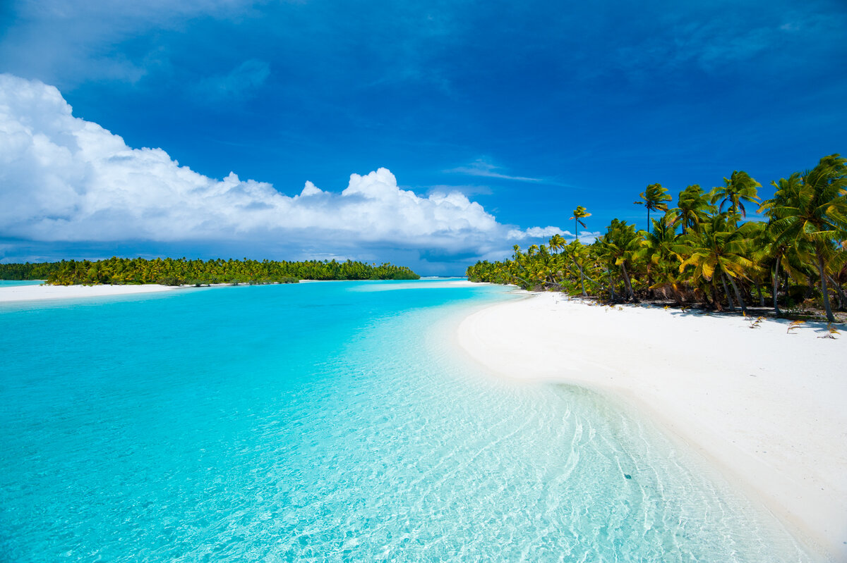 Фото с сайта http://www.winefoodhotel.com