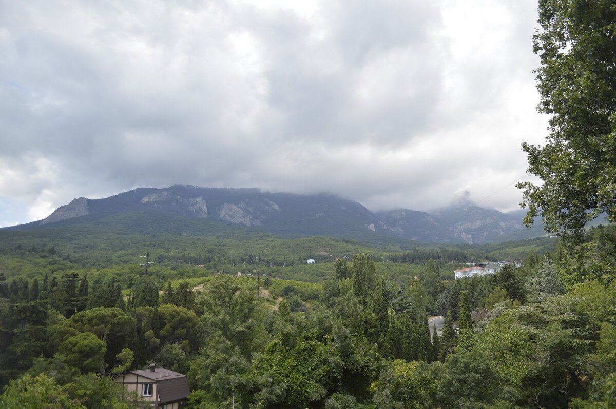 Вид из окна, Гурзуф