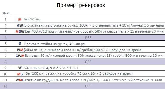 100 программ тренировок. План тренировок по тяжелой атлетике. Программа тренировок по тяжелой атлетике для начинающих. Программа тренировок штангистов. Тренировочный план по тяжелой атлетике.