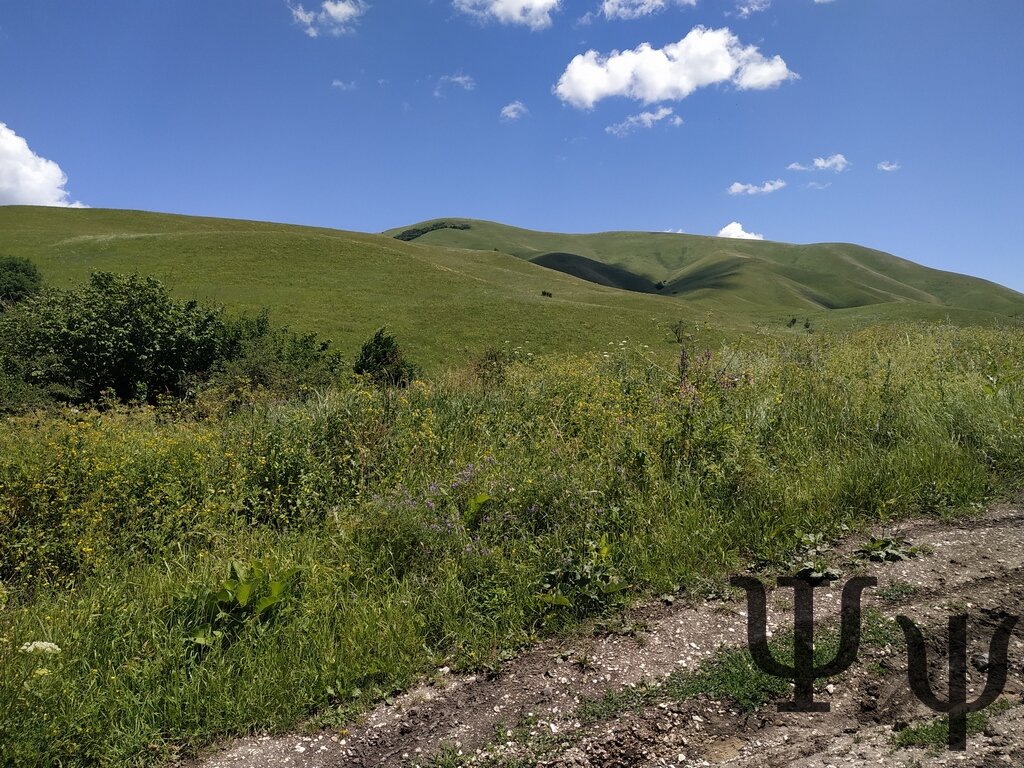 Фото. В районе Пятигорска.