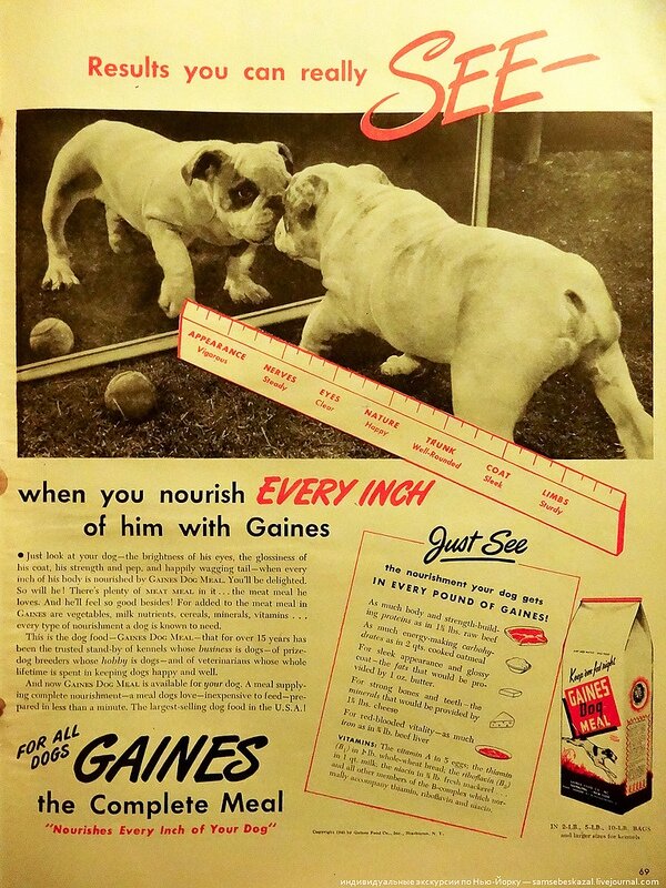 Sell dog. Sell dog. Реклама про с собакой 90 х. Доберман кутенок. Sell dog.