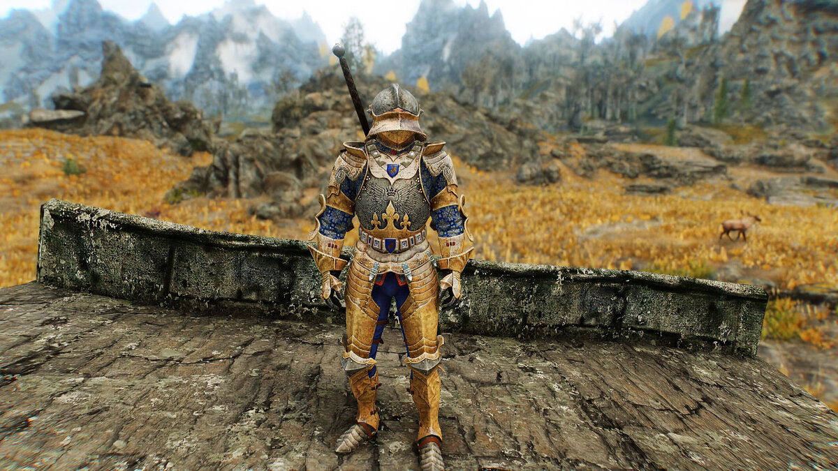 Wayrest Knight Armor