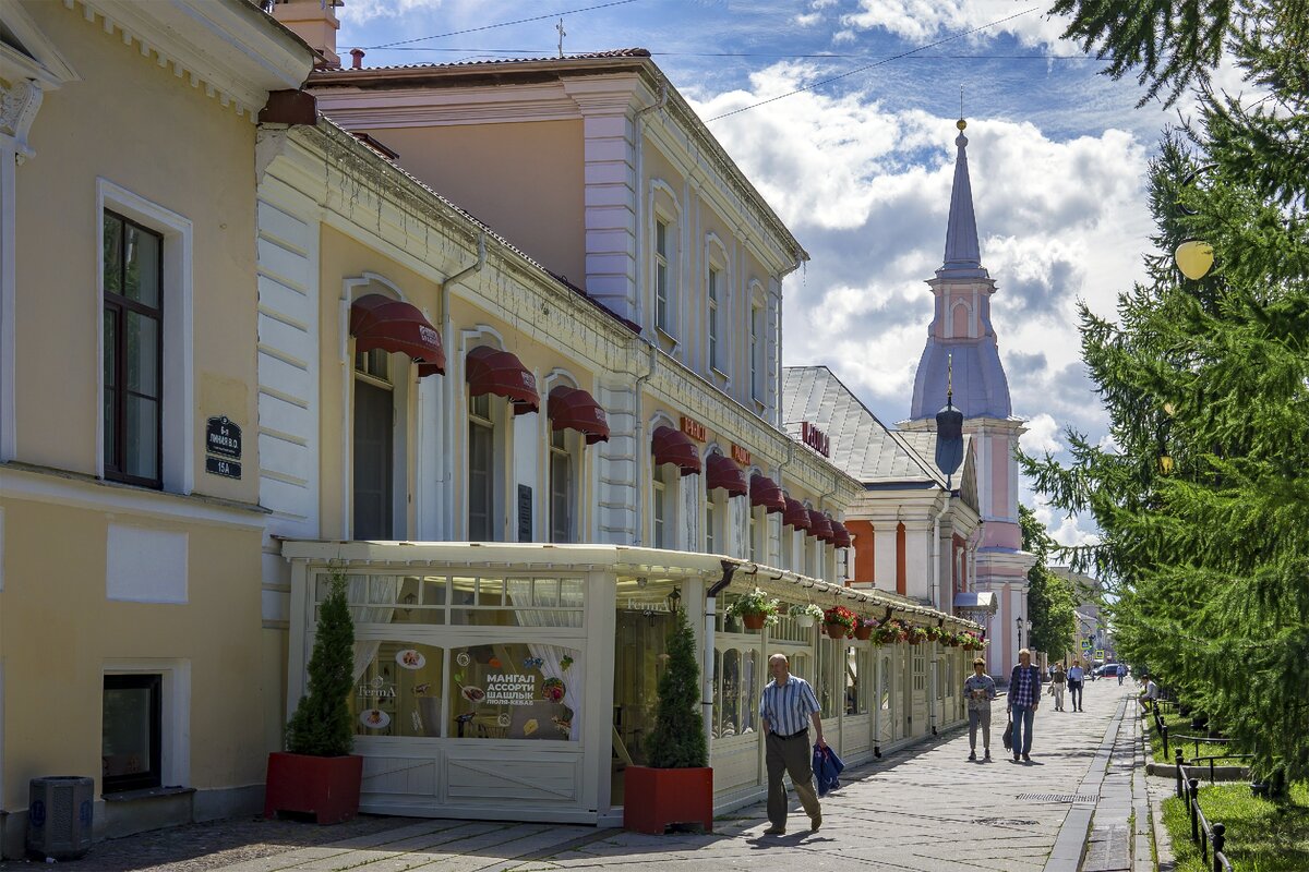 Дом троекурова. Дом Троекурова в Санкт-Петербурге. Дом Троекурова в Петербурге. Дом Троекурова на Васильевском острове 6 линия. Дом купца Троекурова.