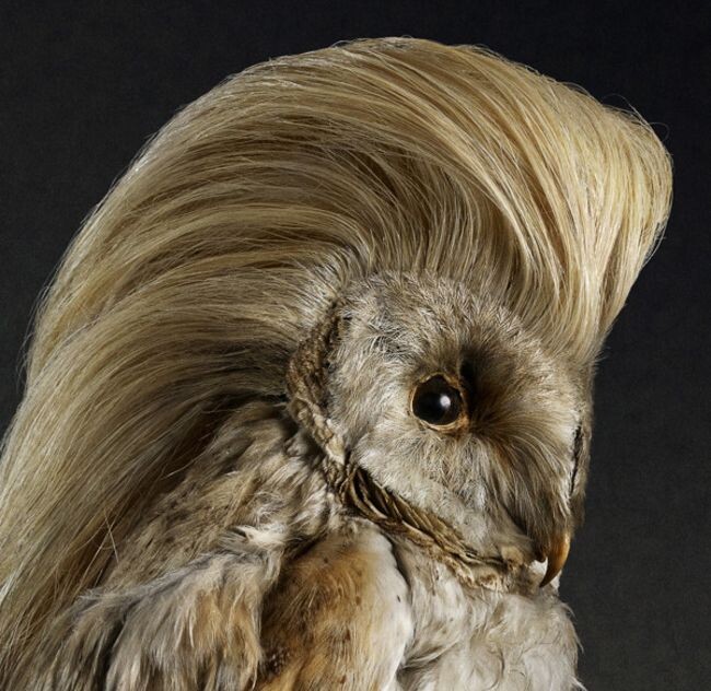 Сева сделает ваш словарный запас немного богаче.