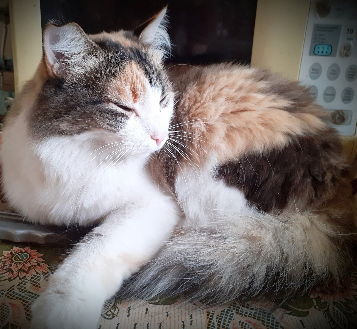 Цвета: "Так лучше?"