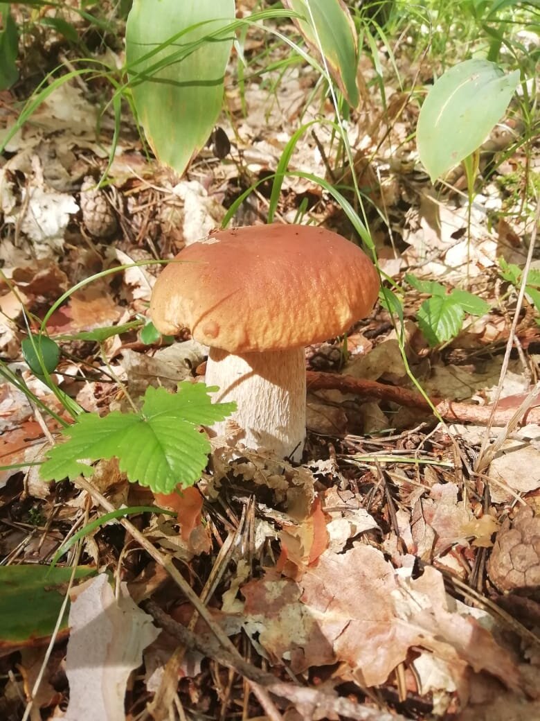 Личное фото автора. 