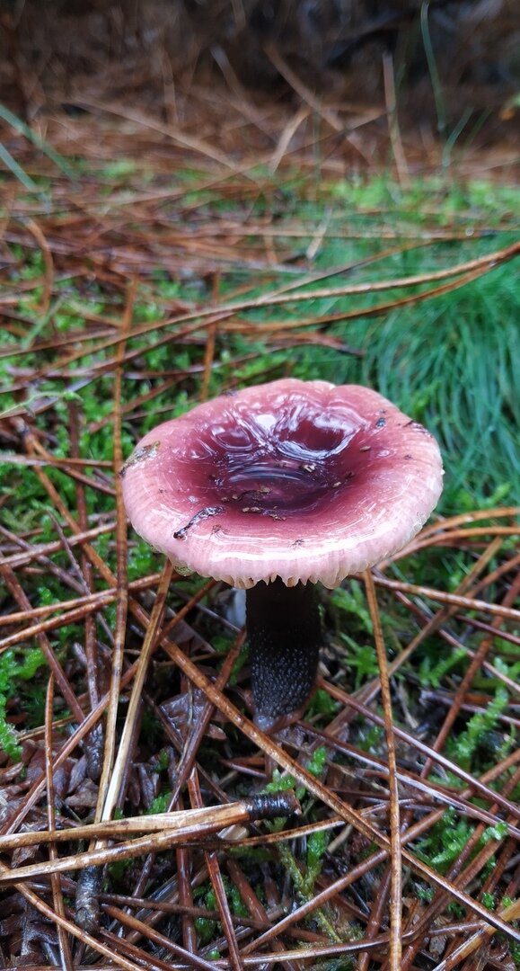 2019, Испания, фотография из семейного архива 