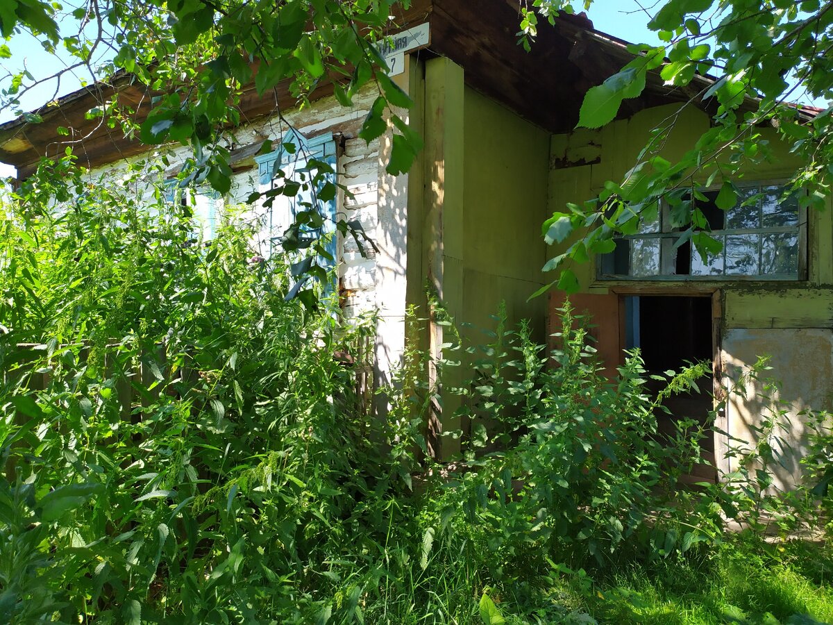 Брошенный дом в деревне Пильно Красногорского района Алтайского края. Фото из личного архива.