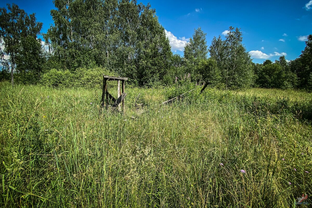 В лесу нашел одинокий заброшенный дом из сруба. Осмотрел и принял решение его восстановить