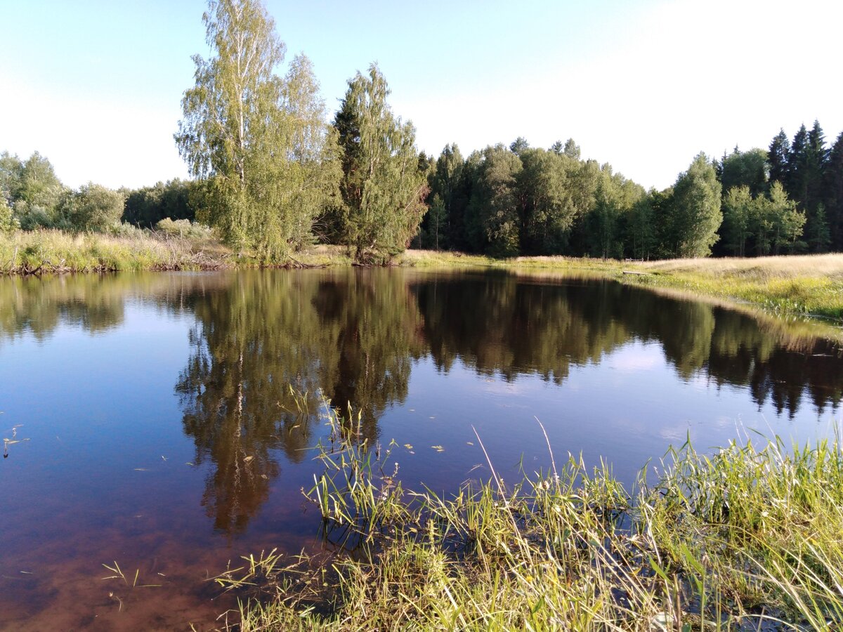 Русалки место