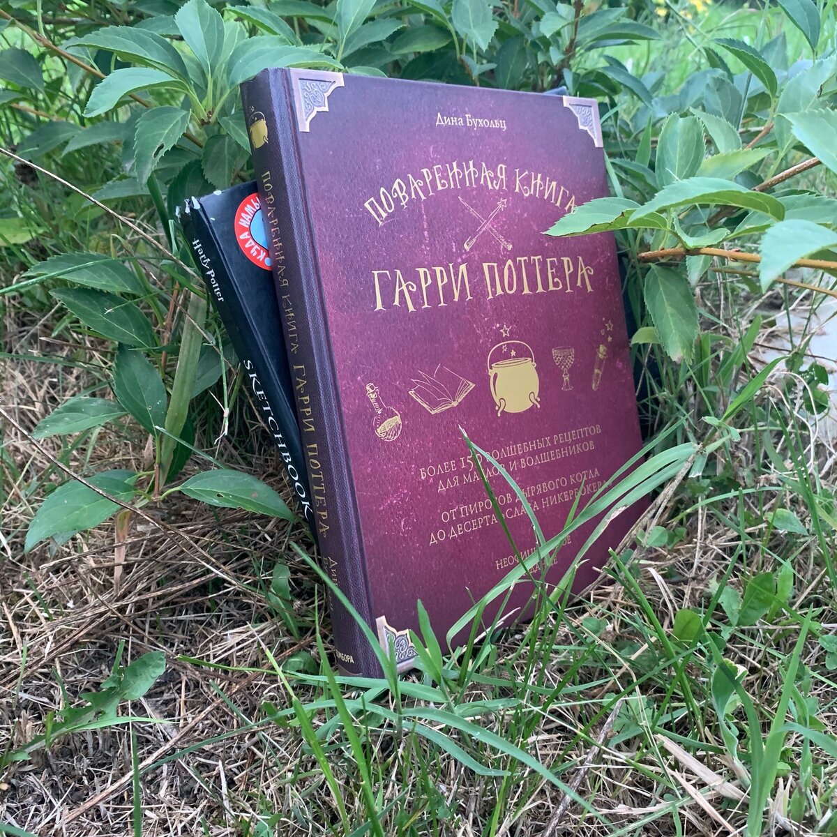 Собственно книга и скетчбук