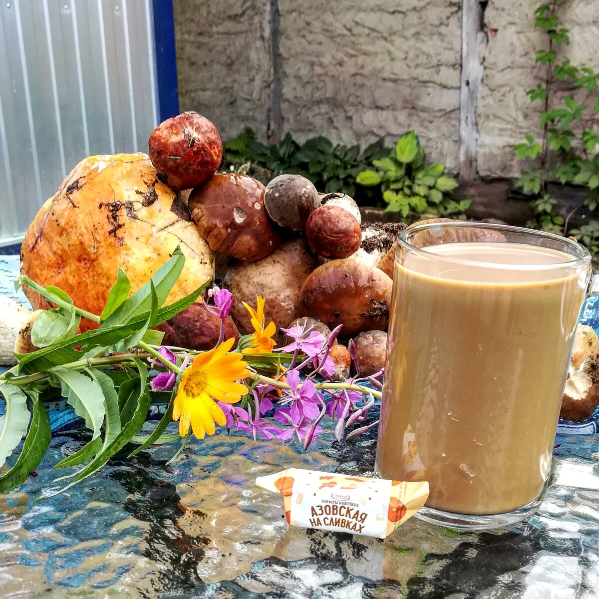 Я неделю не была в лесу и тут сбегала накоротке! 