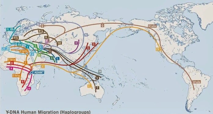 Распространение у-гаплогрупп из Африки с мигрантами 80-15 тыс.лет назад.(Яндекс Картинки\бранибор.блог-шоп.ком).