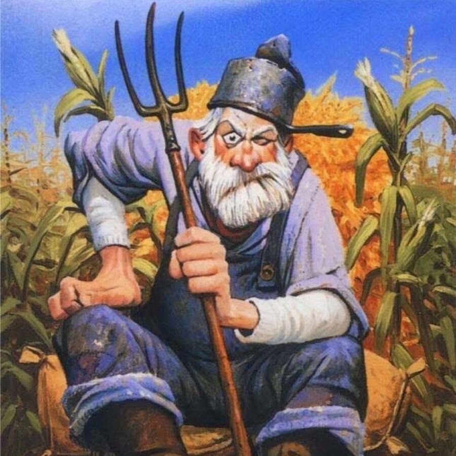 Фото из открытого источника 