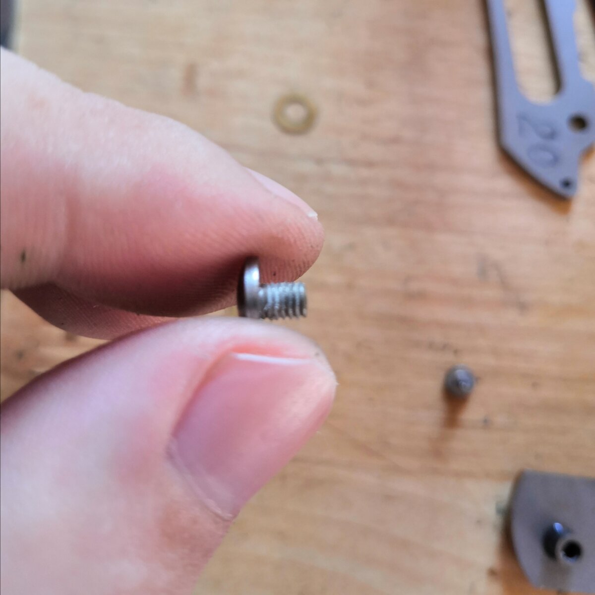 Осевой винт в белом фиксаторе