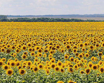фото взято из яндекс.картинки