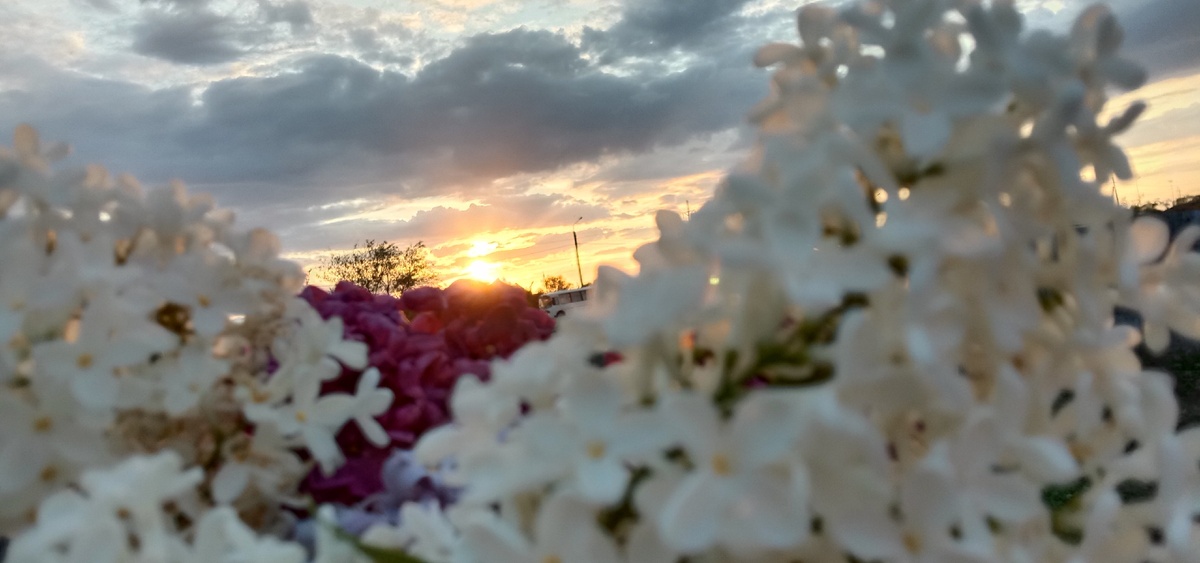 Красиво не так ли ?)