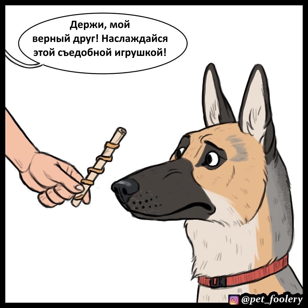 Источник: Инстаграм pet_foolery. Перевод: https://vk.com/pixie_and_brutus