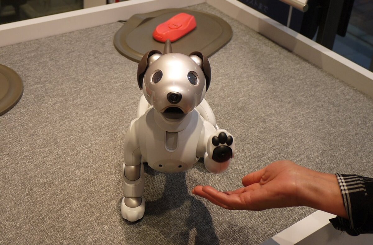  "О-тэ! " - дай лапу!)