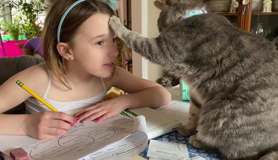 Фото с сервера Яндекс.Картинки