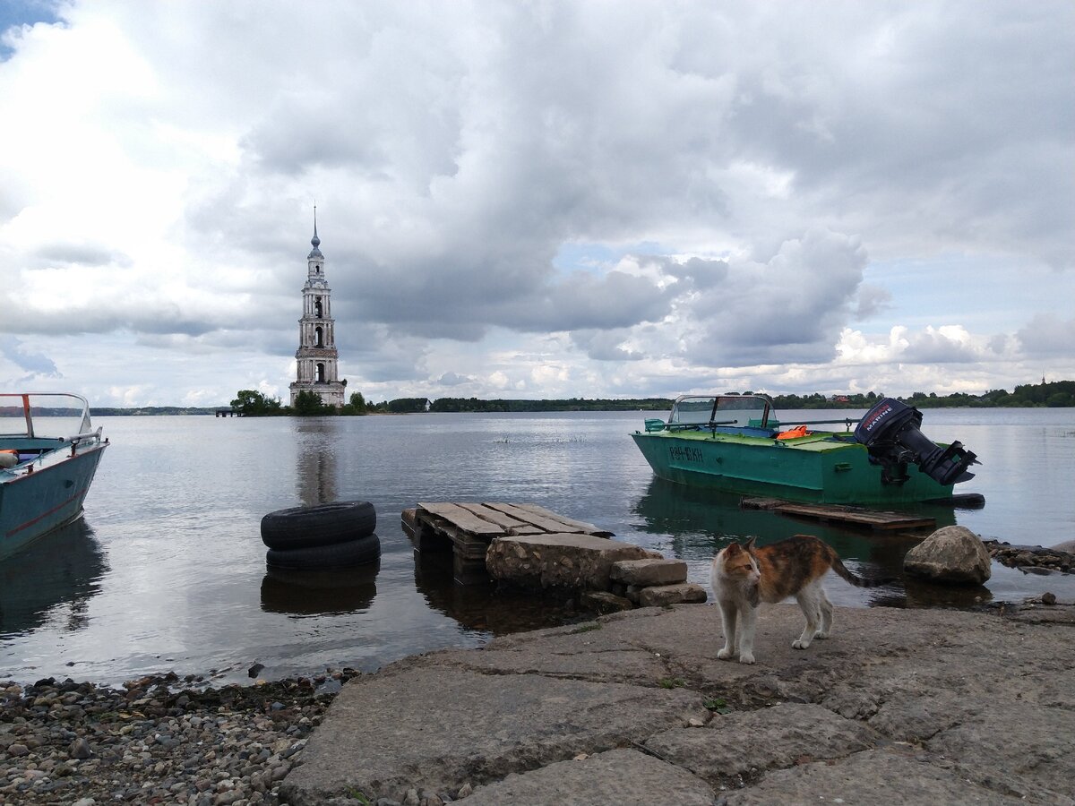 Топ-5 городов Тверской области глазами туриста. Подробный разбор. |  Размагниченные и влажные билеты | Дзен