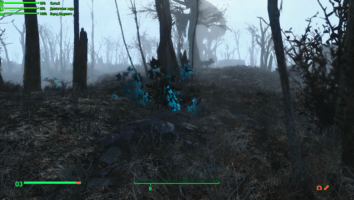 Радолень вдали