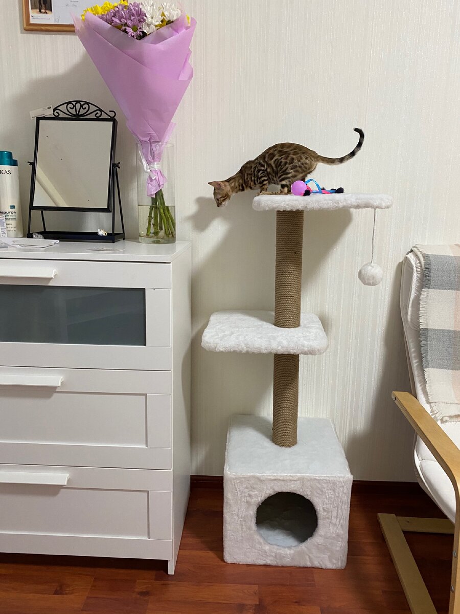 Прыгает к любимым цветам!