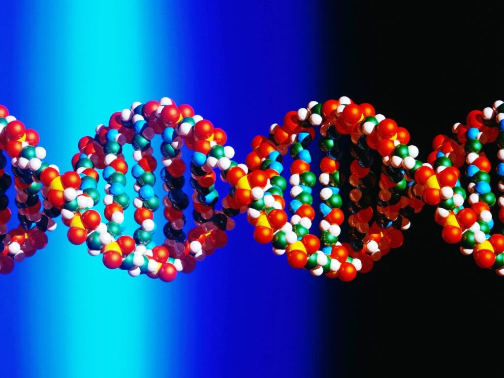 Sssr dna. Нуклеиновые кислоты в молекуле ДНК. Молекула нуклеиновой кислоты. Молекула дезоксирибонуклеиновой кислоты. Молекулярная генетика нуклеиновые кислоты.