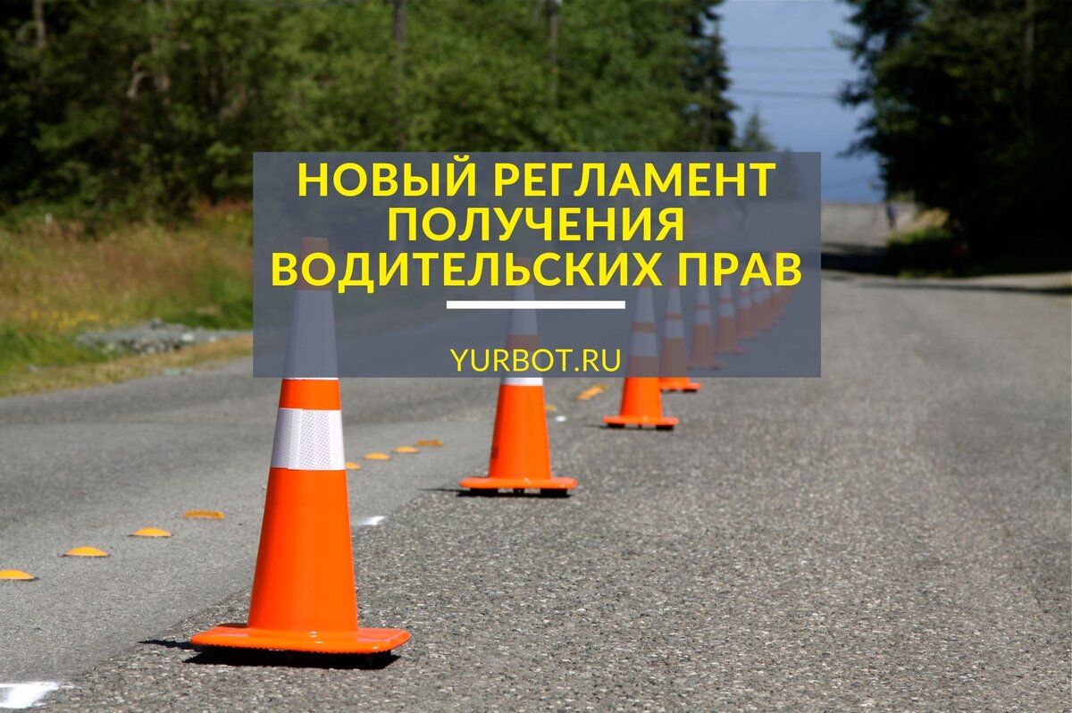 Источник фото: canva.com