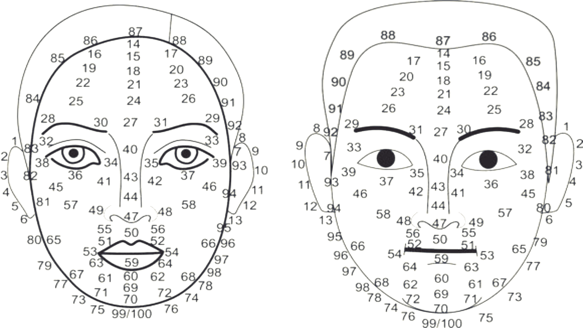 Каждая точка лица индивидуальна, так же как и сетчатка глаза (входим в мир биометрии, берущей свои истоки в Каббале)
